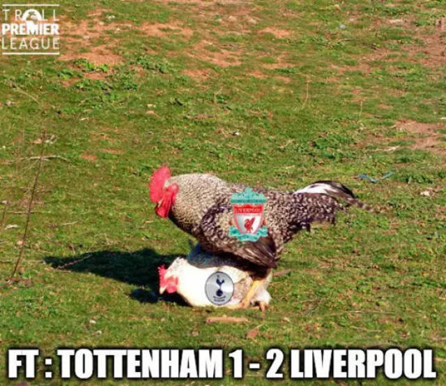 电竞新秀签约顶级战队公告